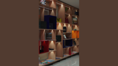 Dalmi Fernandes Defanti Junior